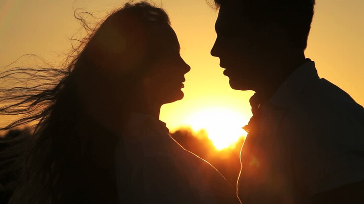 Vue de profil d'un couple à contre-jour parlant affectueusement dans une prairie au coucher du soleil.