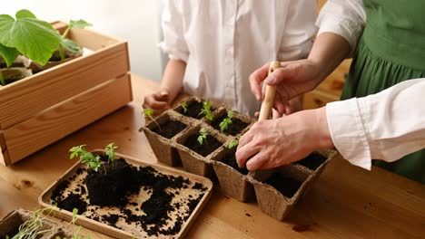 unrecognizable woman with child standing near wooden table with soil