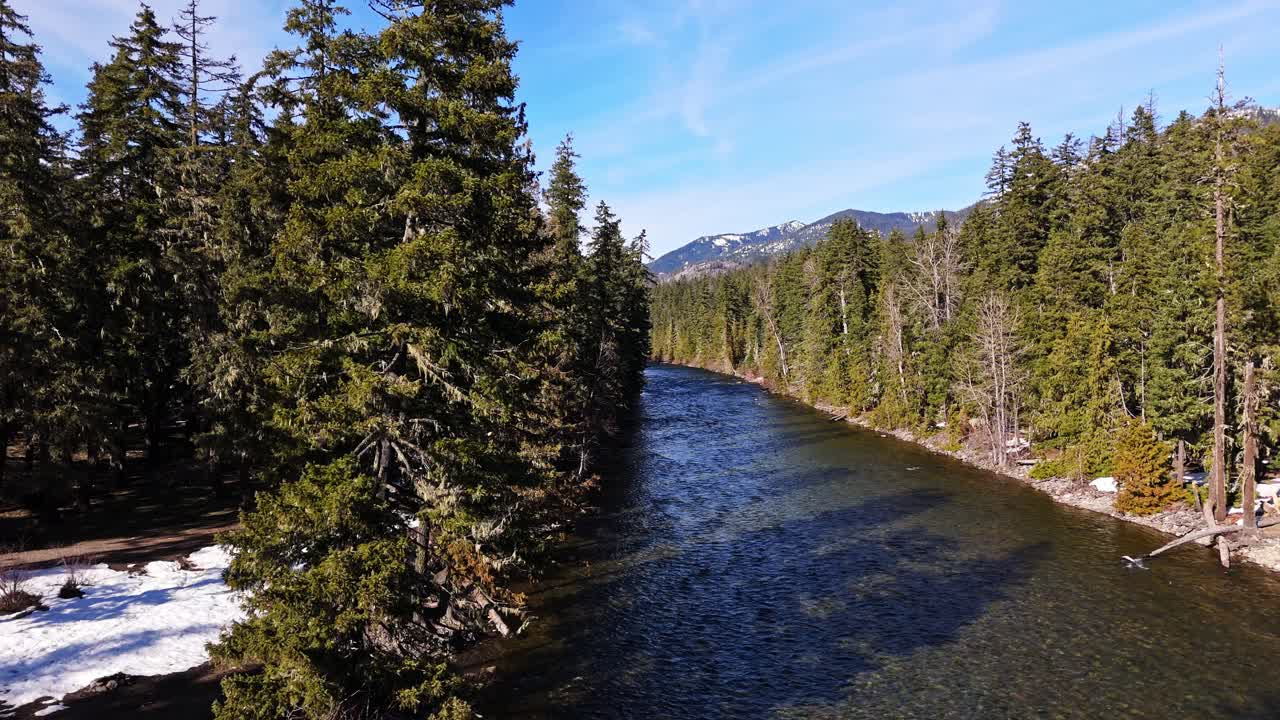 disparo de movimiento suave del río y el bosque en cle elum en un claro día de cielo azul en el estado de washington