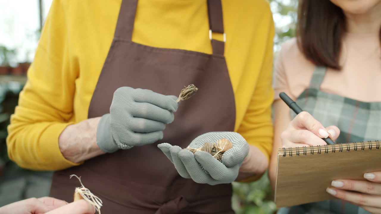 Gardening: Examining Bulbs and Recording Details