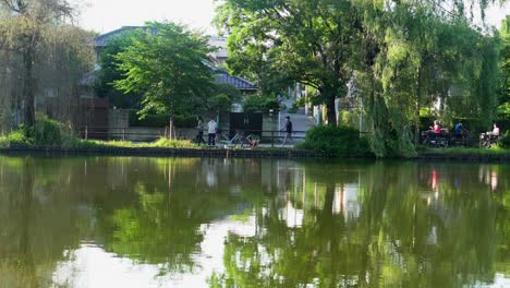 夏天,東京的shakuji公園的湖泊以非常美麗的方式反映了所有在湖水中散步和釣魚的人