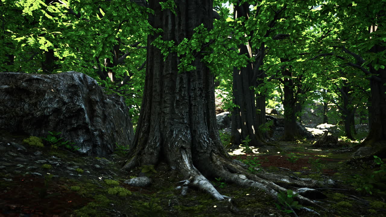 평화로운 마법의 모스 숲 장면