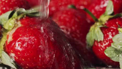 close up water splashing on bright red strawberries