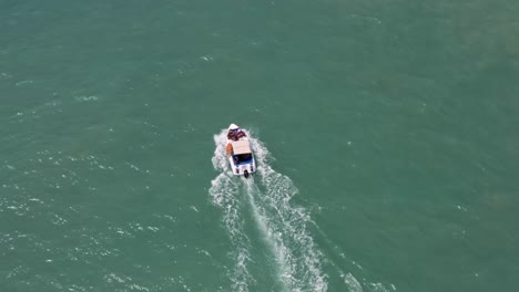 aerial drone birds eye top view seguendo una piccola barca turistica di delfini che naviga nelle acque oceaniche turchesi tropicali con i turisti vicino alla spiaggia di madeiro a pipa, brasile rio grande do norte in una calda giornata estiva