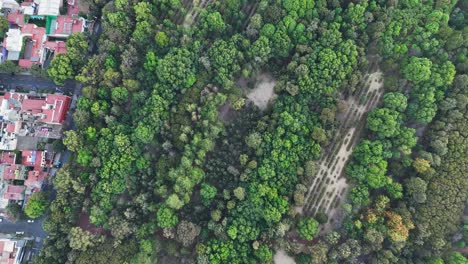 birds eye view of the nurseries in coyoacan cdmx