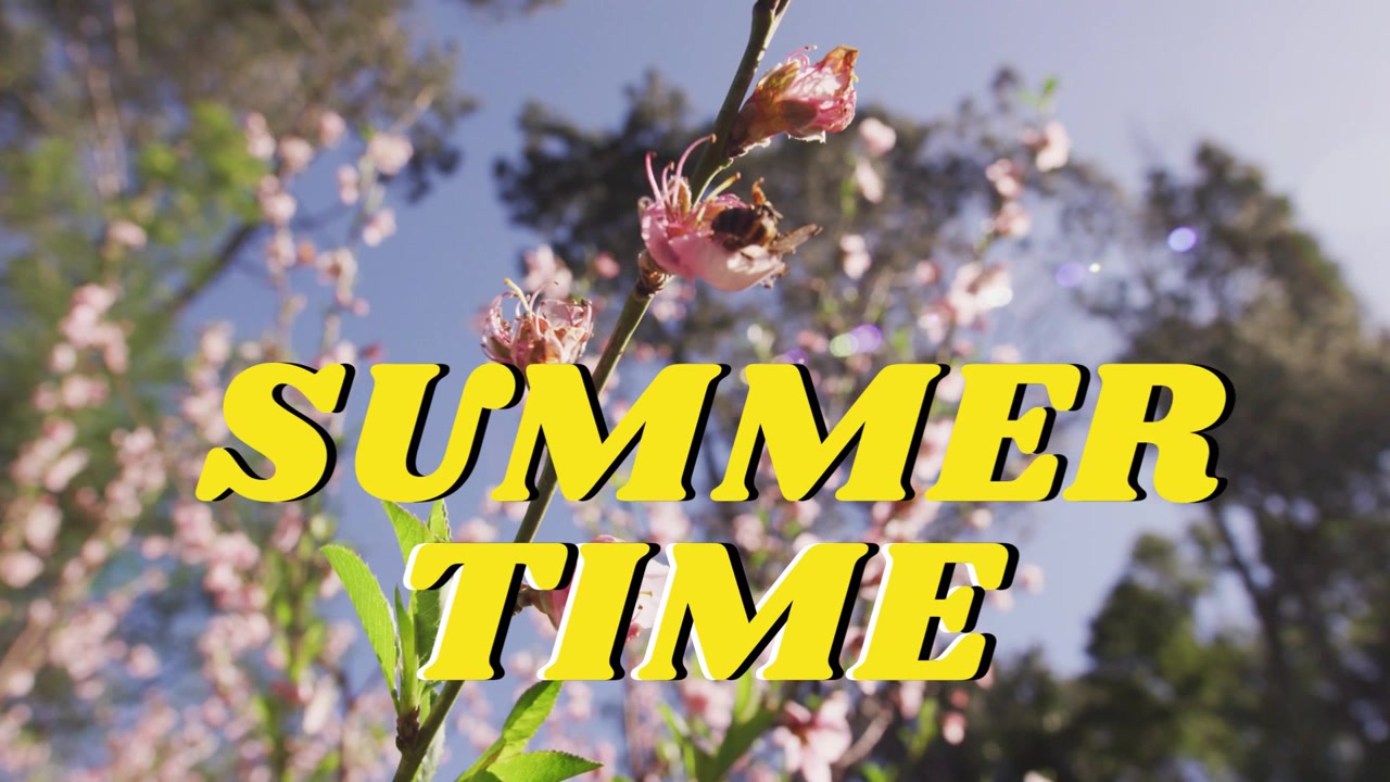 SUMMER TIME title staying fixed, camera tilting revealing blossom, bee landing, flare for marketing
