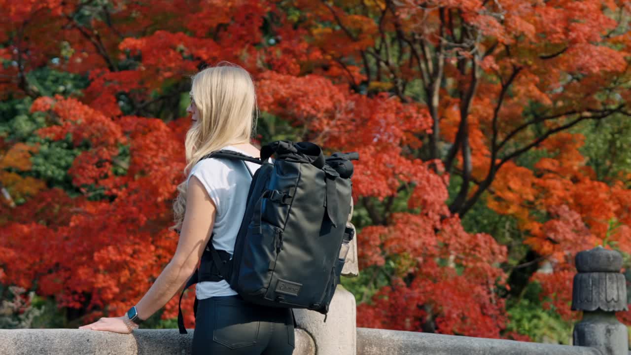 A young blonde woman stands gracefully on a traditional bridge in Kyoto, Japan, surrounded by vibrant red maple leaves during peak autumn.