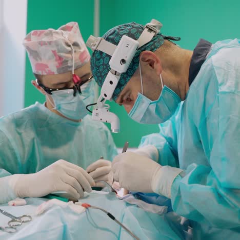 team surgeon at work in operating room. surgery otoplasty. auricle correction
