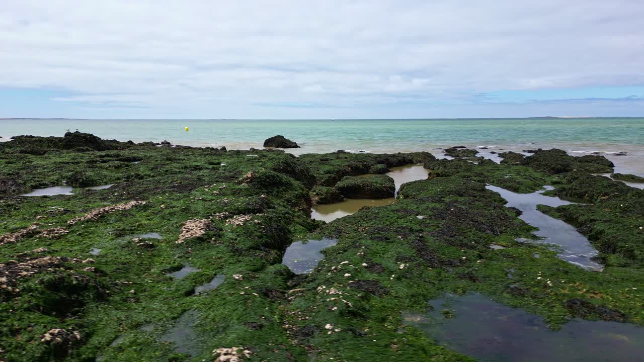 Drone lateral shot over Bonne-Source beach in Pornichet, showing rocks fully covered with algae at low tide - Brittany France
