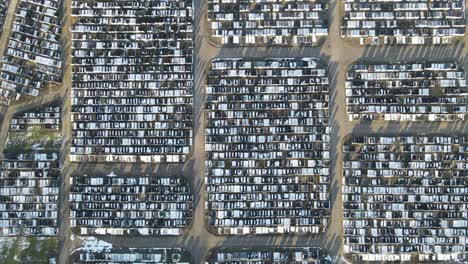 Jewish-cemetery-Waltham-abbey-Essex-uk-in-winter-overhead-rising-aerial-reveal-4k