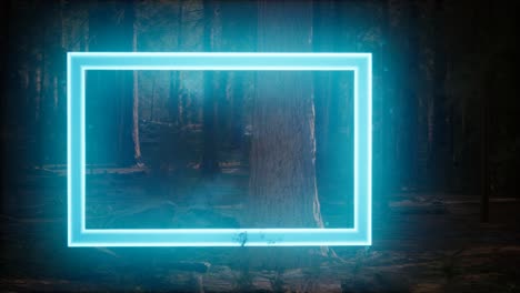 neon glowing rectangle frame in the night forest