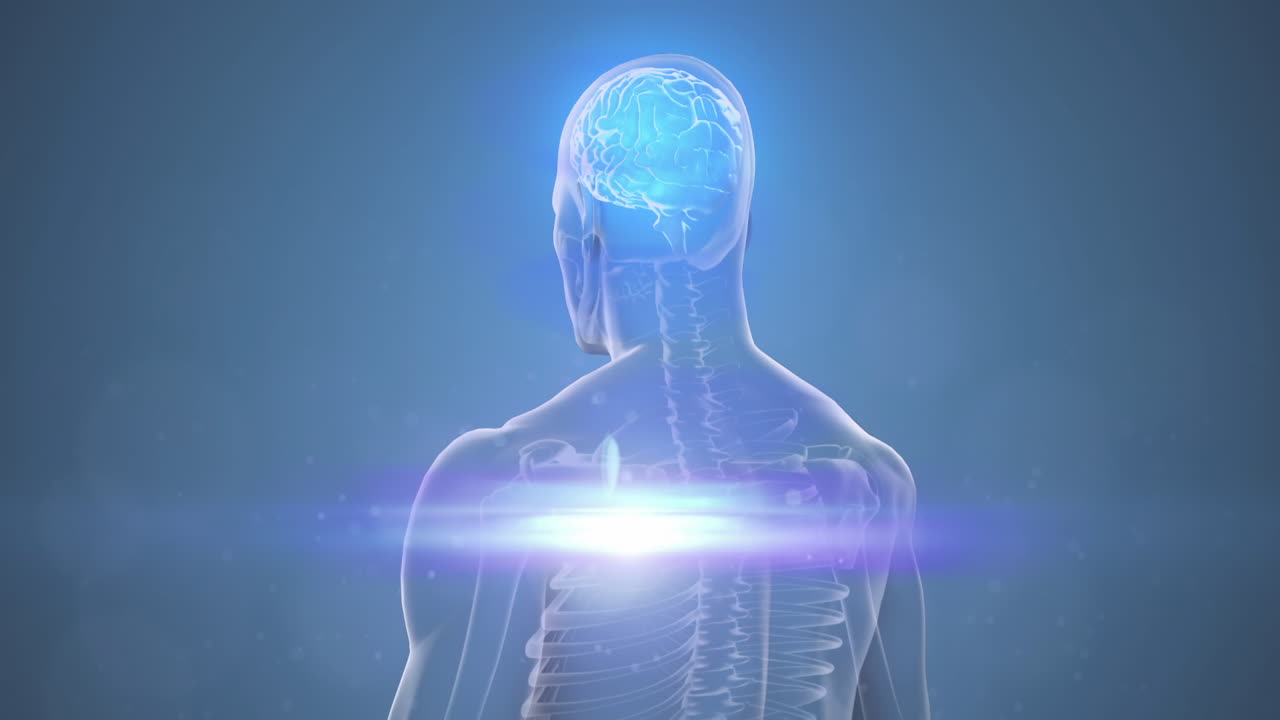 Animazione di luce brillante su un corpo umano con cervello