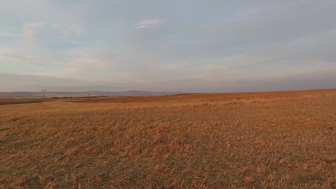 Drone flyver tæt over marker.