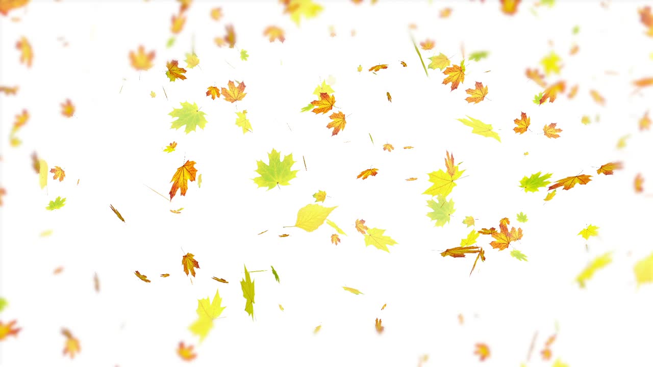 하늘에서 떨어지는 갈색과 주황색 잎