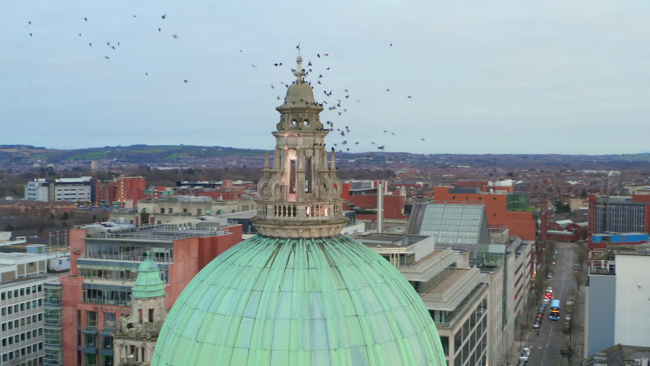 Aerial shot as a flock of birds gracefully lands and rests on the dome of Belfast City Hall