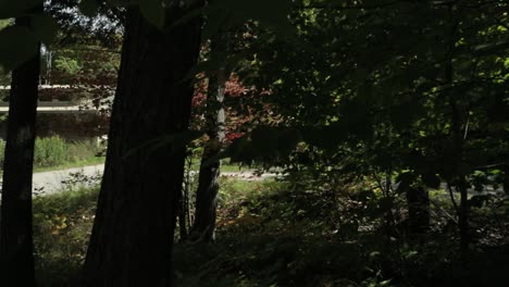 Elegante-Enthüllung-Einer-Gästehauskabine-Hinter-Dem-Waldrand-Im-Veranstaltungszentrum-Le-Belvédère-In-Wakefield,-Quebec