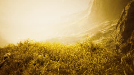 golden-rocks-and-grass-in-mountains