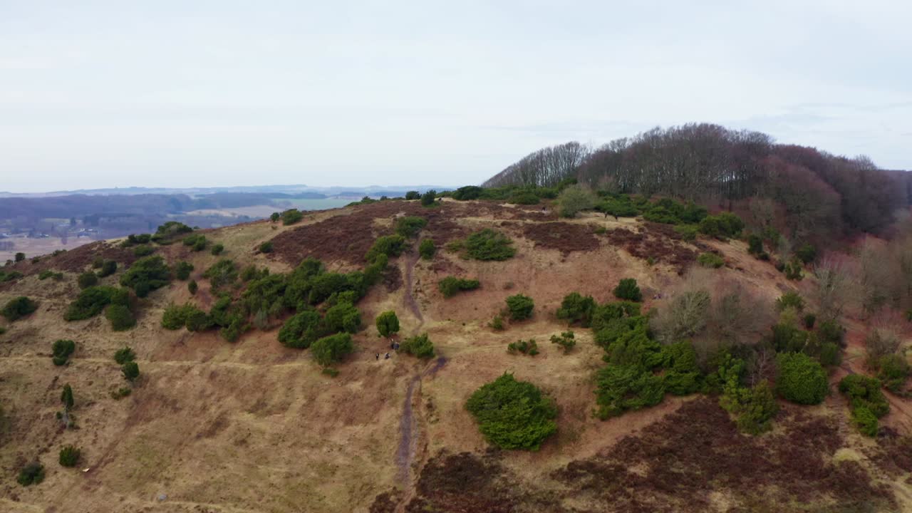 toma aérea de un hermoso bosque en dinamarca