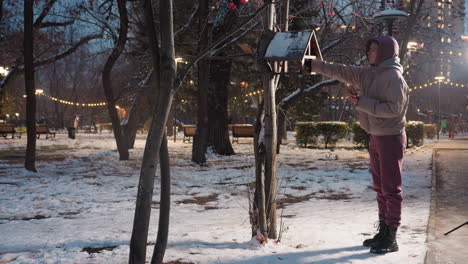 dama de pie en un parque nevado, dejando caer comida en la casa de pájaros para pájaros, con luz suave reflejando en ella y ambiente festivo en el fondo