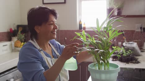 sonriente mujer biracial mayor con delantal y jardinería en la cocina sola
