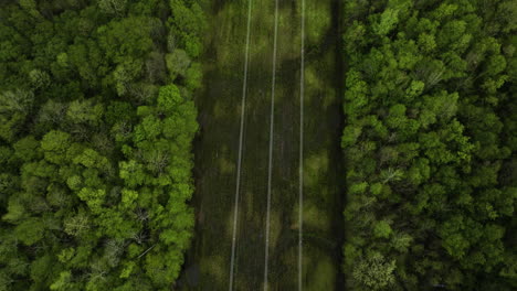 power transmission towers and lines on wetlands through dense forest at william b