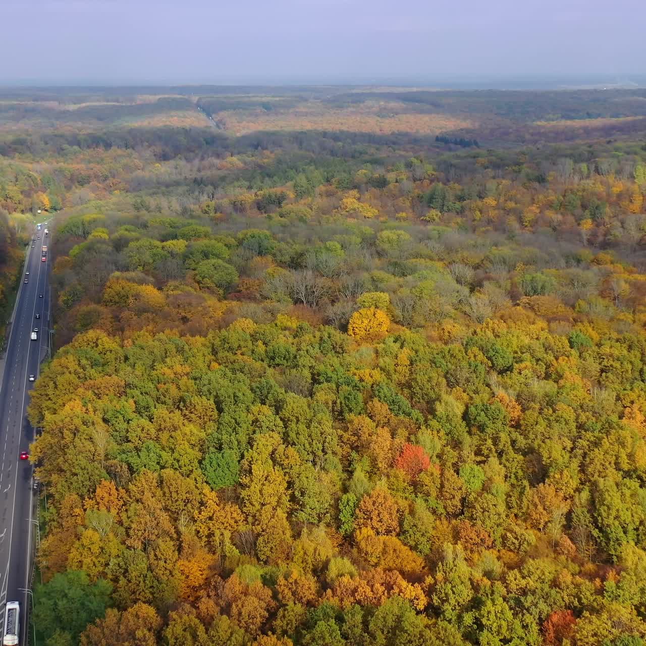 Natural landscape in fall. Highway with moving cars inside the beautiful forest in autumn season. Flight over road among colorful treetops. Motion camera to the left