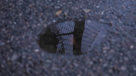 Gotas-De-Agua-Goteando-Sobre-Un-Reflejo-De-Una-Valla-Y-Un-árbol-Que-Da-La-Emoción-De-Sentirse-Encarcelado,-Solo-O-Atascado