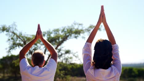 Couple-doing-yoga-in-resort-on-a-sunny-day-4k