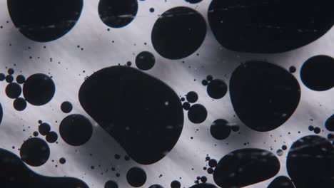 black oil forming abstract shapes in an transparent liquid