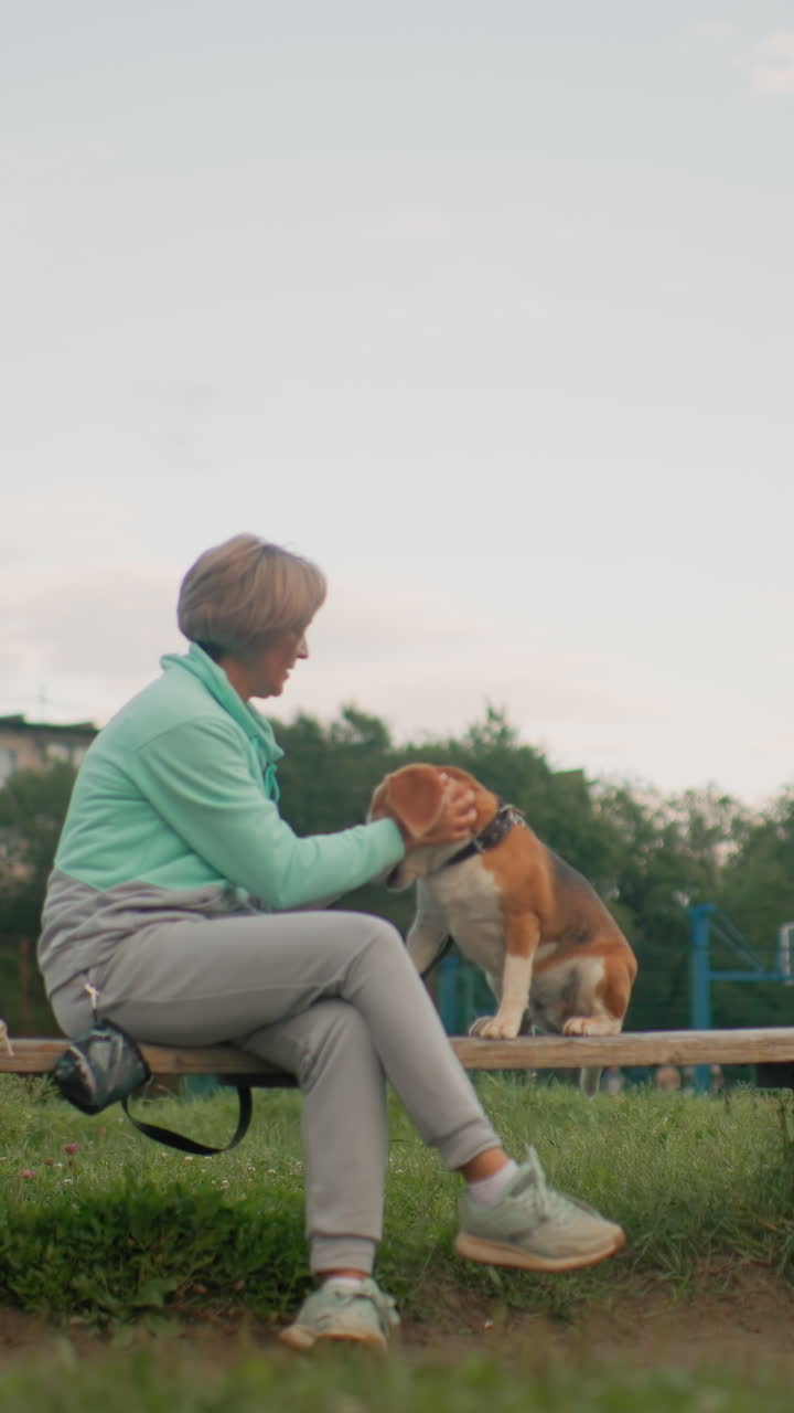 부드러운 저녁 햇살 아래 벤치에 앉아 비글을 쓰다듬는 백인 여성, 따뜻한 손길, 목줄, 차분한 시선, 운동화와 캐주얼 복장, 교외의 나무 배경, 치유되는 듯한 편안함