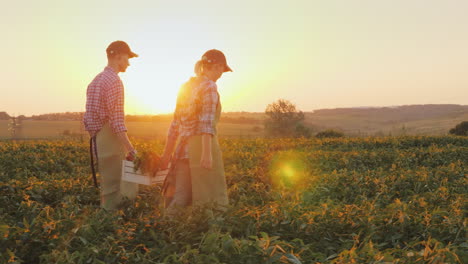 Eine-Bauernfamilie-Trägt-Kisten-Mit-Gemüse-über-Das-Feld-Biolandbau-Und-Gesunde-Ernährung-Eat