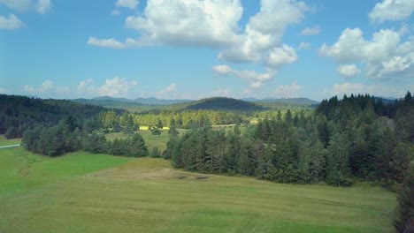 Vista-Aérea-Sobre-El-Paisaje-Verde-Boscoso.-Pedestal-Abajo