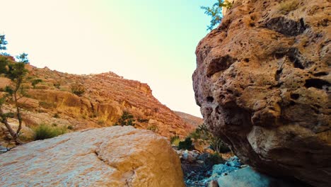 un río en el medio del desierto del sáhara argelia biskra