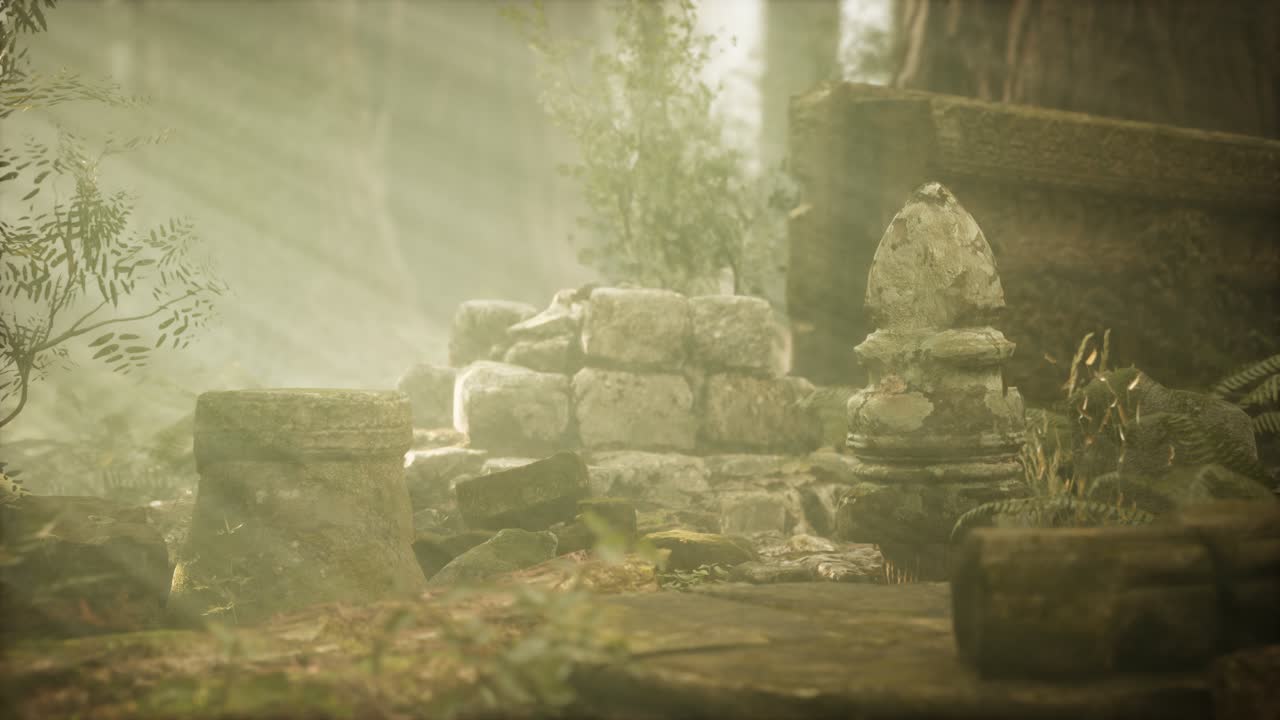 Hoary ruins of ancient city in pine forest