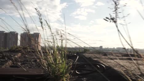 urban rooftop landscape with plants