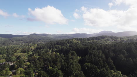 Kaskadengebirgsbäume-Im-Herbst-Am-Cannon-Beach-Im-Pazifischen-Nordwesten