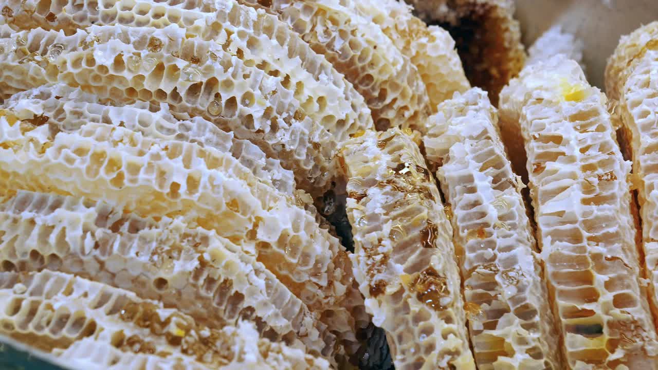 Близкий взгляд на пчелу