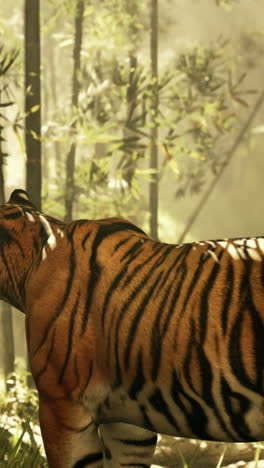 tiger in a bamboo forest