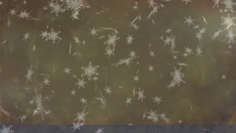 Animation-of-snow-falling-over-grey-background