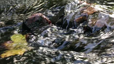 Regenwasser-Fließt-Und-Kräuselt-Sich-über-Steine,-Die-Blätter-Und-Andere-Trümmer-Tragen