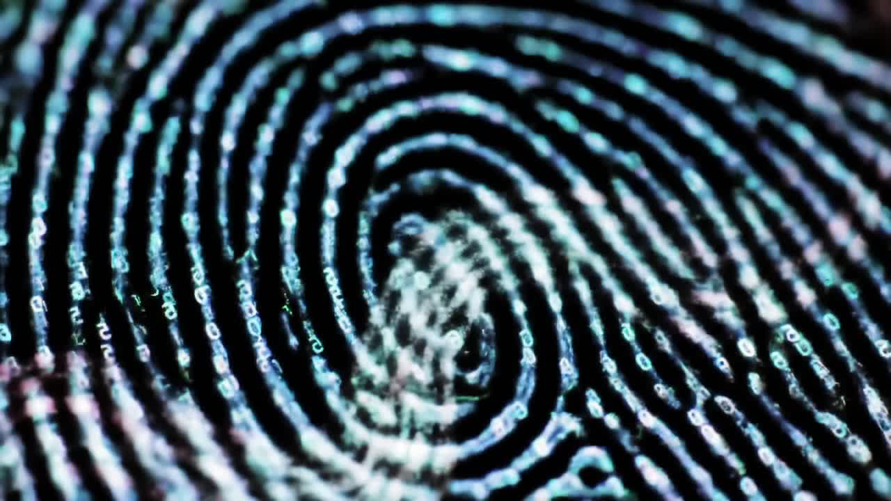 A Close-Up Exploration of a Detailed Fingerprint Pattern Highlighting Intricate Swirls and Design, Perfect for Understanding Unique Identity Markings in Forensic Science
