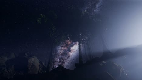 4K-Astro-of-Milky-Way-Galaxy-over-Tropical-Rainforest.