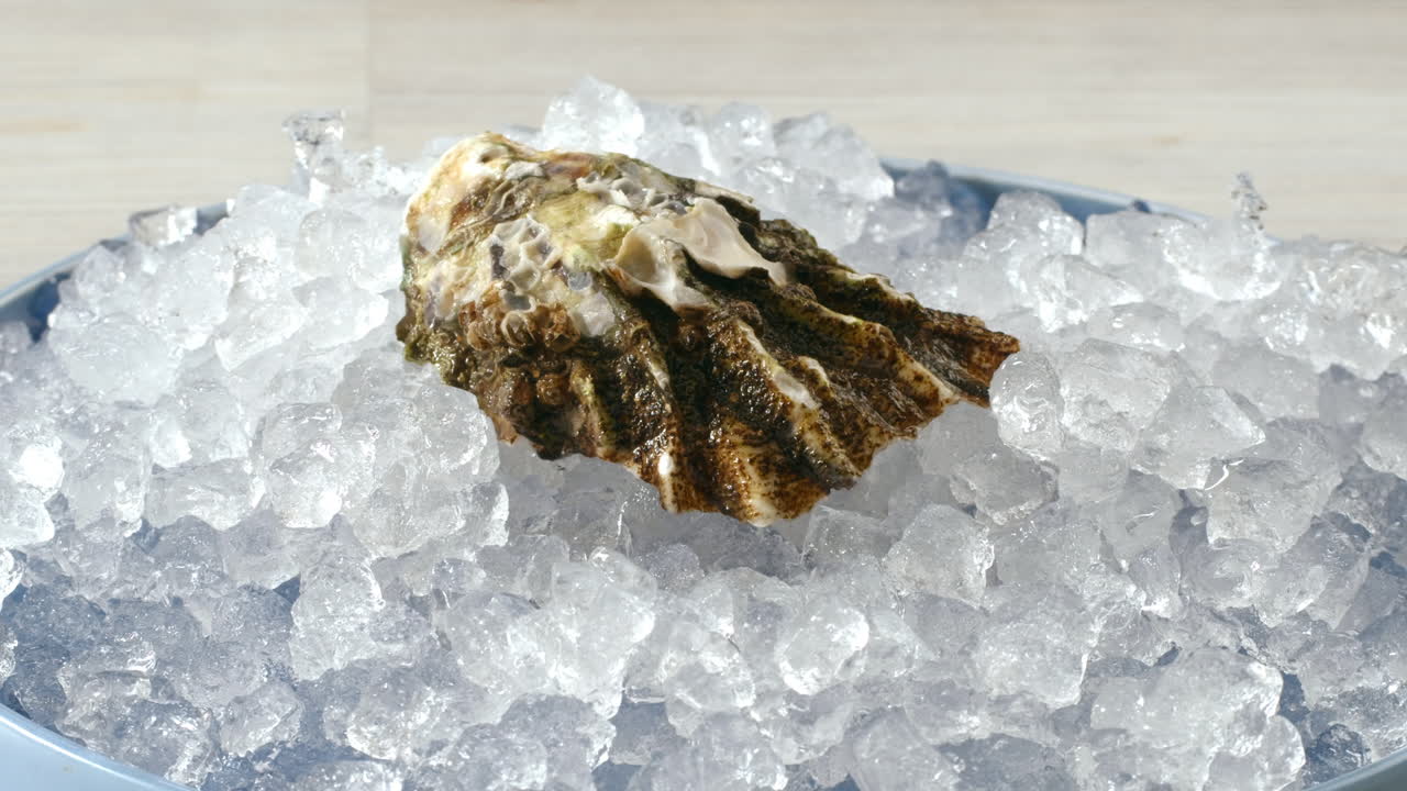 Tuore Osteri Jäällä