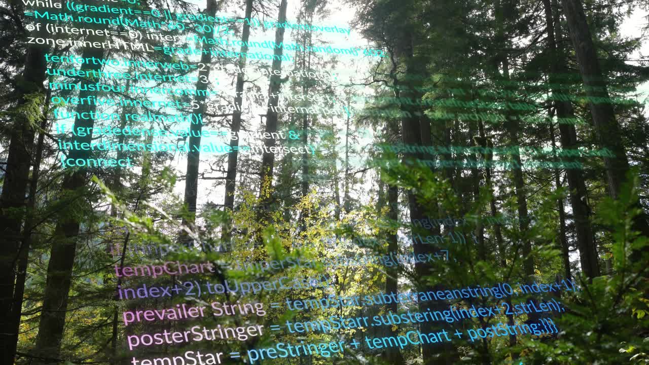 Top turquoise code appearing, scrolling downward across evergreen canopy, visualizing data merging