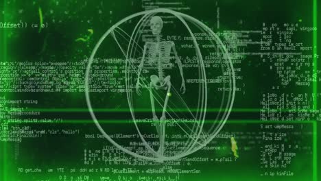 animación del esqueleto humano y los círculos verdes que giran con el procesamiento de datos
