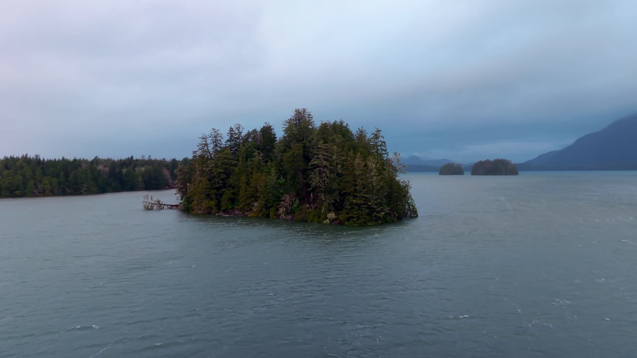 tomada de drone de tofino en la isla de vancouver que muestra colores de otoño, costa escarpada y olas del océano en una vista aérea panorámica.