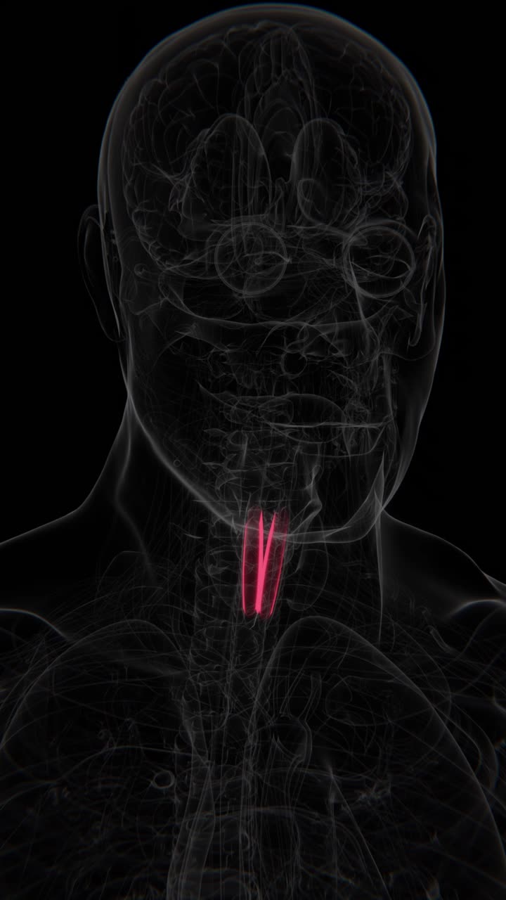 X-Ray video of Croup laryngotracheitis in baby | Croup laryngotracheitis Video in X-Ray | Croup laryngotracheitis indication video in Vertical format