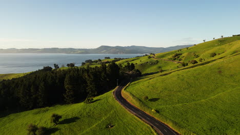 vibrant scenic coastal route in new zealand, aerial drone view