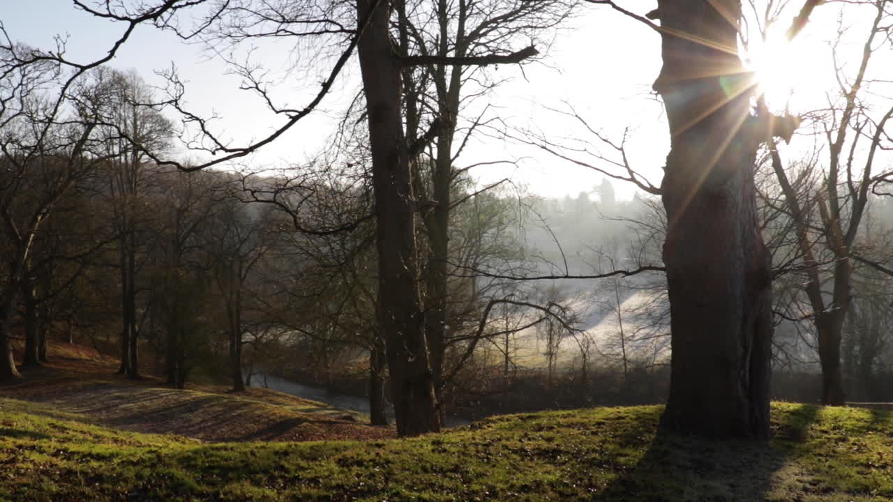 늦은 오후에 얼어붙은 공원의 느린 팬