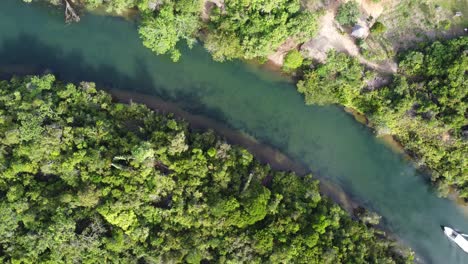 boat drifting through jungle on an expedition in madagascar, africa